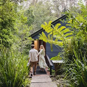 Kondalilla Eco Australia